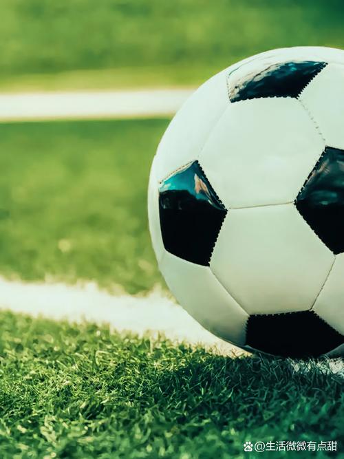 体育媒体工作者获取赛事资讯