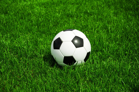 葡超比分预测平台界面展示