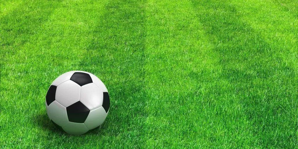 数据分析师使用专业工具